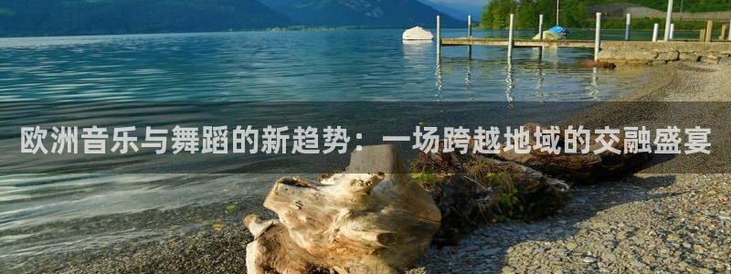 众拓永盈：欧洲音乐与舞蹈的新趋势：一场跨越地域的交融盛宴