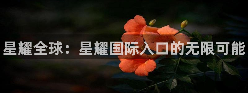 永盈怎么提高中奖：星耀全球：星耀国际入口的无限可能