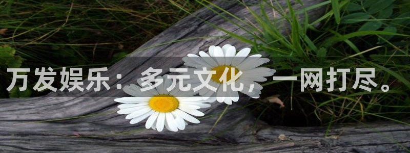 南充永盈：万发娱乐：多元文化，一网打尽。