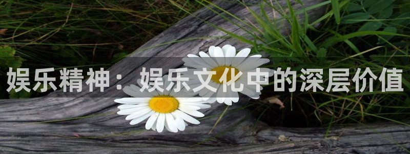 永盈欢迎您-首页：娱乐精神：娱乐文化中的深层价值
