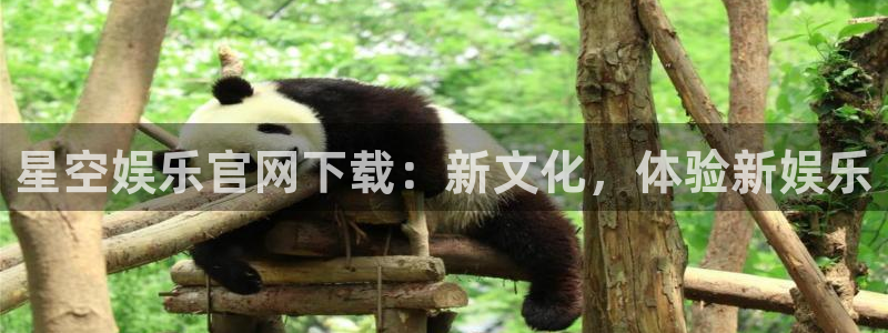 69066永盈：星空娱乐官网下载：新文化，体验新娱乐