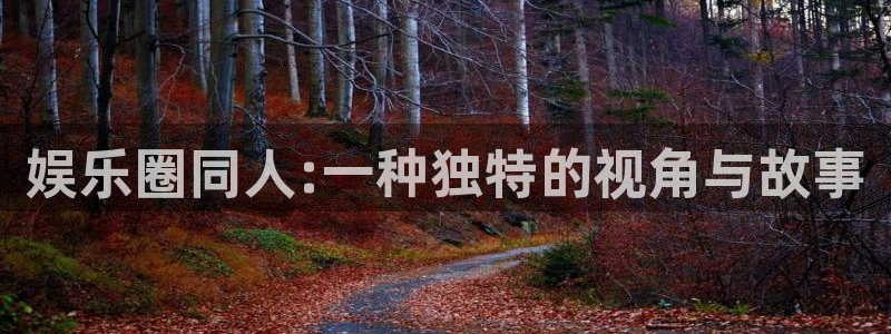 天津市永盈印刷有限公司：娱乐圈同人:一种独特的视角与故事