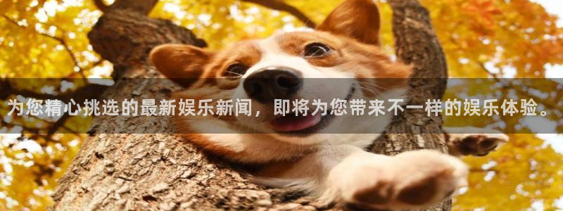 科锦永盈：为您精心挑选的最新娱乐新闻，即将为您带来不一样的娱乐体验。