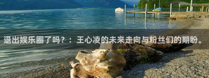 众拓永盈：退出娱乐圈了吗？：王心凌的未来走向与粉丝们的期盼。