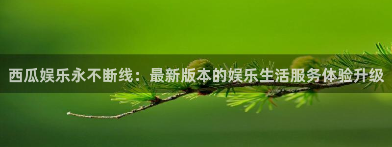 永盈welcome官网：西瓜娱乐永不断线：最新版本的娱乐生活服务体验升级