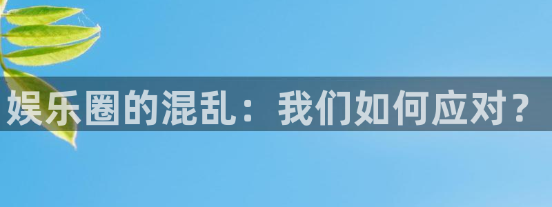 永盈登录官网：娱乐圈的混乱：我们如何应对？