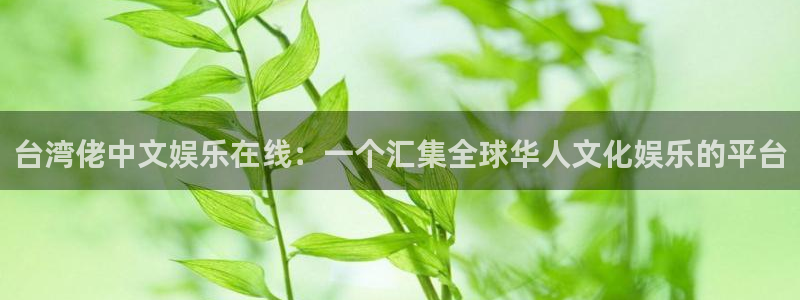 鼎世永盈1号：台湾佬中文娱乐在线：一个汇集全球华人文化娱乐的平台