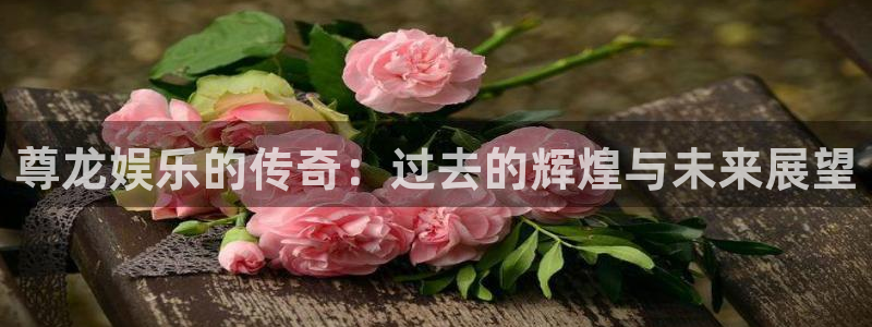 永盈棋牌69066mooc网页版：尊龙娱乐的传奇：过去的辉煌与未来展望