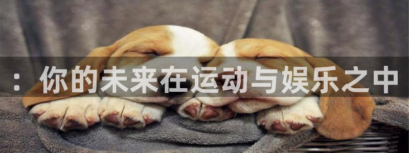 永盈旧版app：：你的未来在运动与娱乐之中