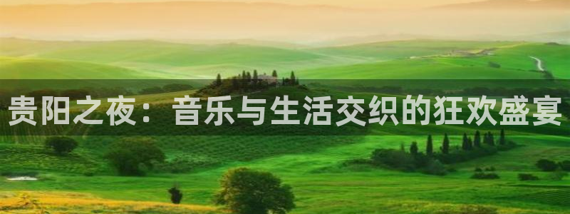 永盈风扇灯：贵阳之夜：音乐与生活交织的狂欢盛宴