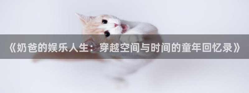 东莞市永盈电子有限公司：《奶爸的娱乐人生：穿越空间与时间的童年回忆录》