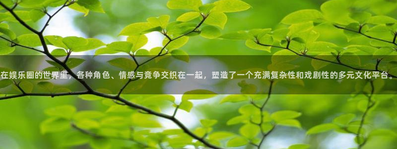 天津市永盈印刷有限公司：在娱乐圈的世界里，各种角色、情感与竞争交织在一起，塑造了一个充满复杂性和戏剧性的多元文化平台。