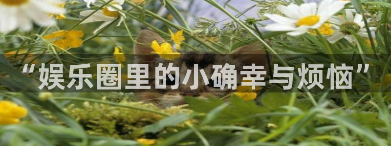 永盈科技：“娱乐圈里的小确幸与烦恼”