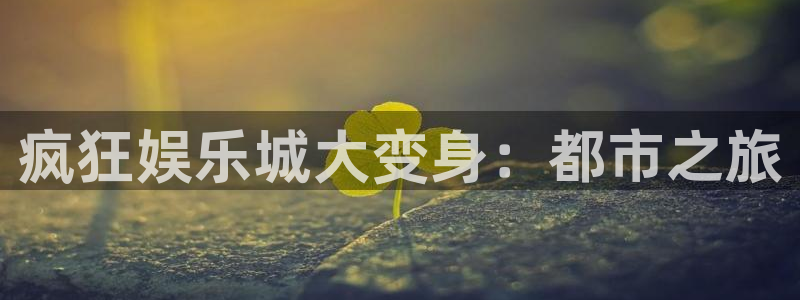 永盈3622网站登录入口