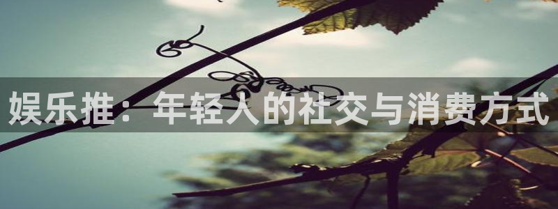 福建永盈：娱乐推：年轻人的社交与消费方式