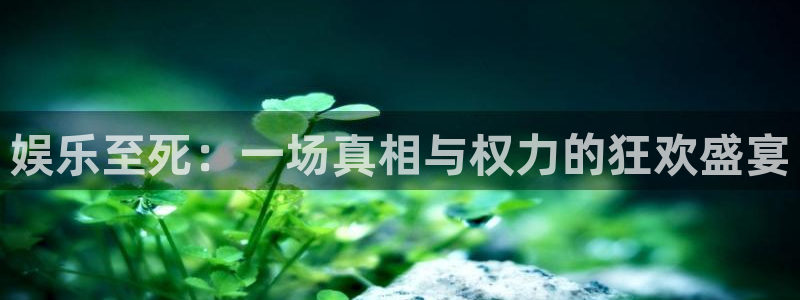诚达永盈：娱乐至死：一场真相与权力的狂欢盛宴