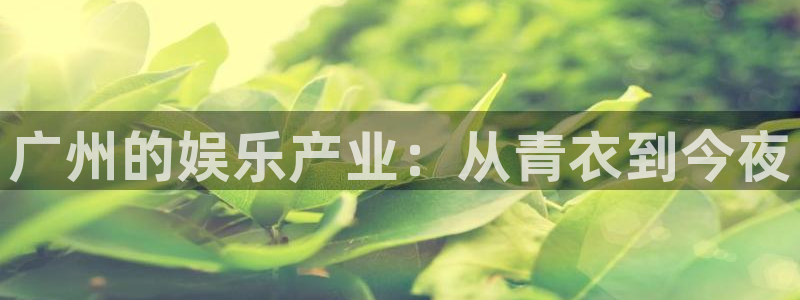 永盈平台welcome：广州的娱乐产业：从青衣到今夜